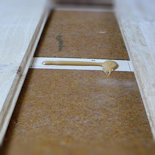 Wood fiber FiberTherm Floor dry screed